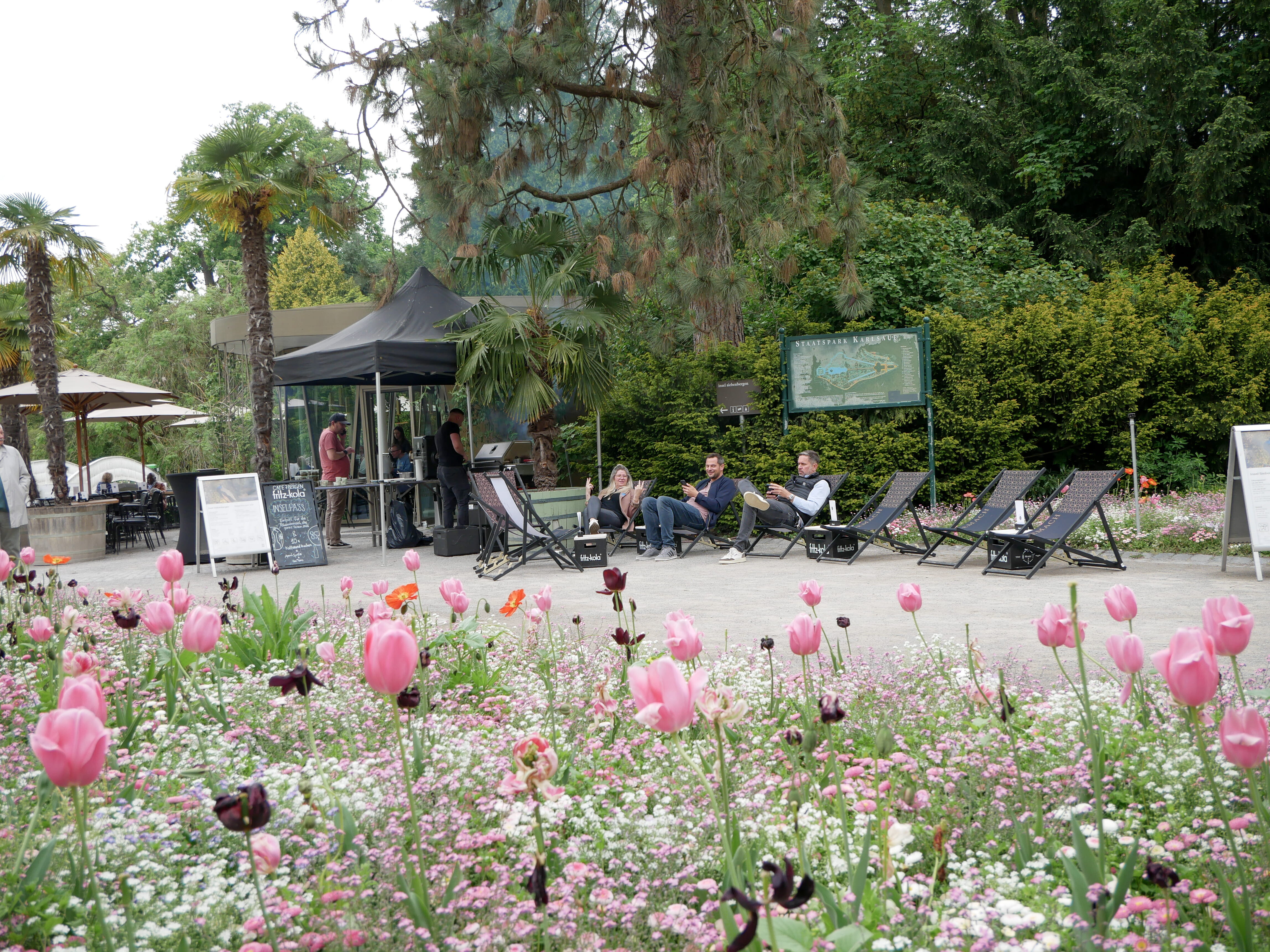 Workshop "Überraschung - Kassel" Eine Gruppe von Menschen sitzt auf Stühlen in einem Park.