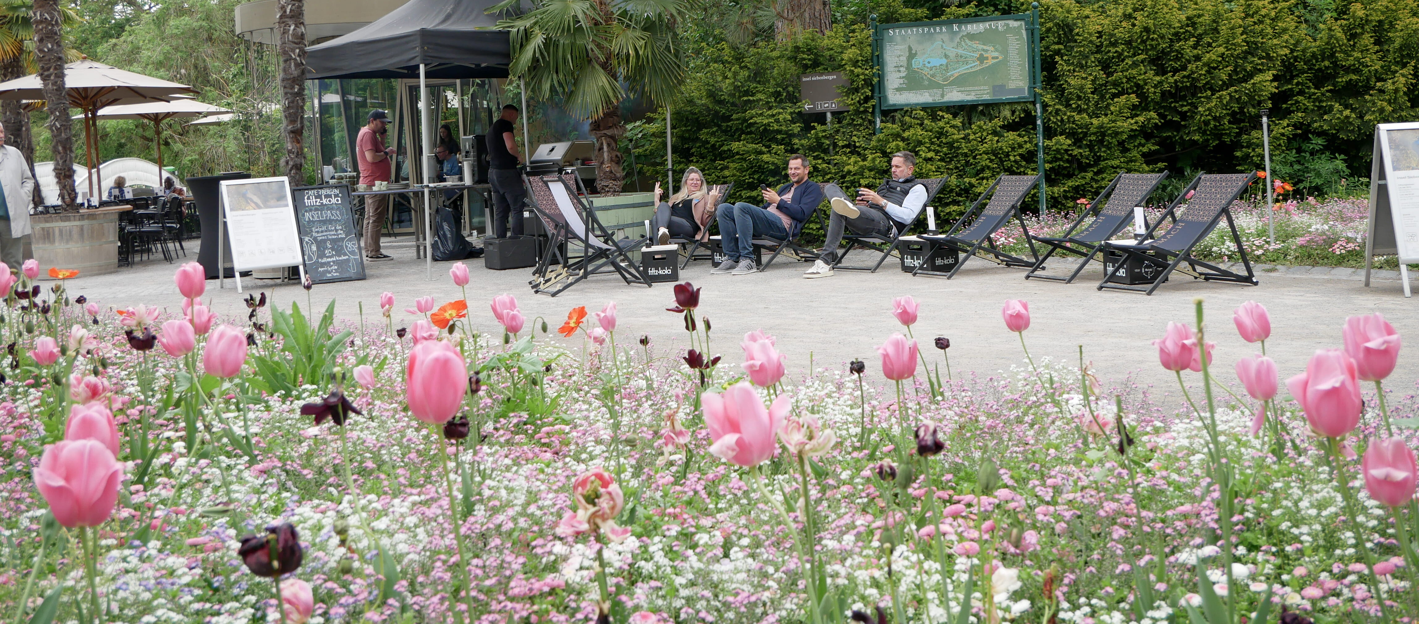 Sieben Bergen Kassel Eine Gruppe von Menschen sitzt auf Stühlen in einem Park.