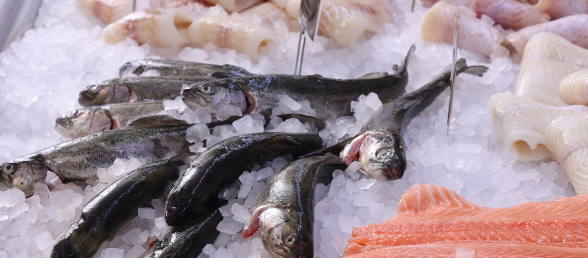 Fischtheke Auslage von Fisch auf Eis
