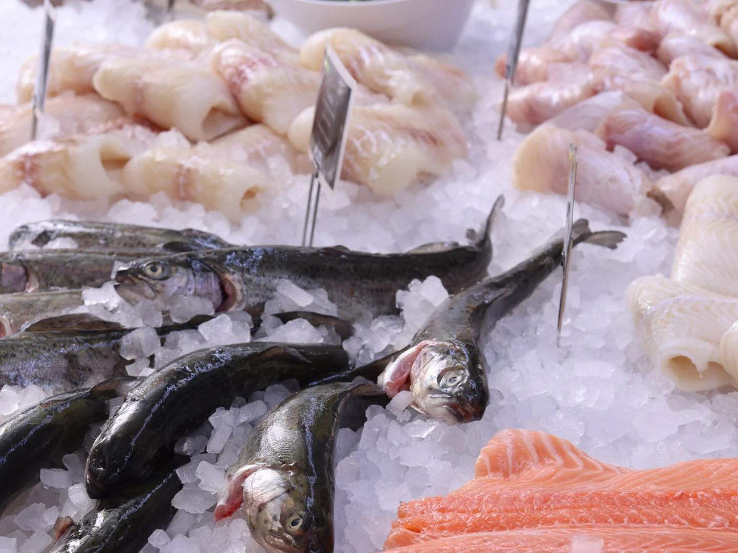 Auslage von Fisch auf Eis