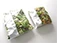 Sonnenreife Salat abgepackt Sonnenreife Salat abgepackt